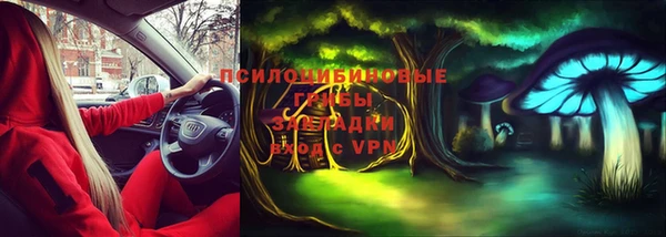ПСИЛОЦИБИНОВЫЕ ГРИБЫ Абаза