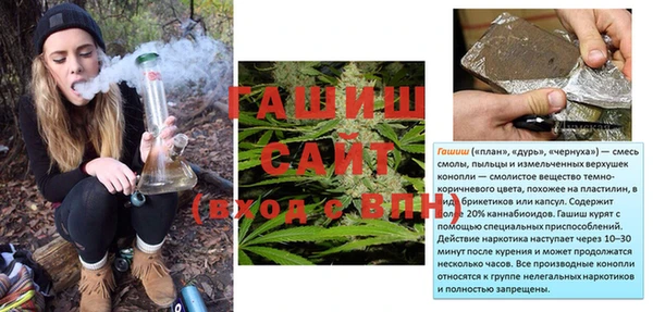 ПСИЛОЦИБИНОВЫЕ ГРИБЫ Абаза