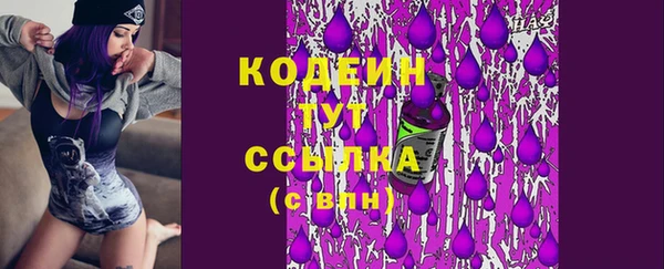 ПСИЛОЦИБИНОВЫЕ ГРИБЫ Абаза