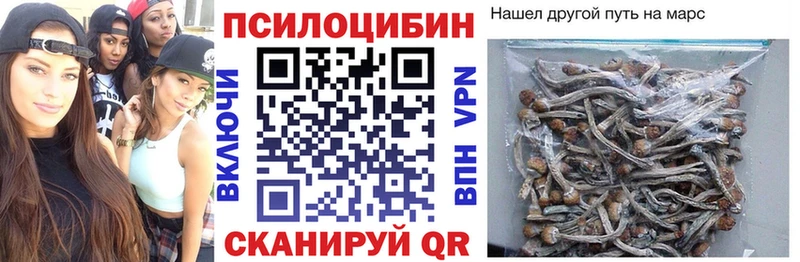 Псилоцибиновые грибы мухоморы  купить наркотики цена  Ачхой-Мартан 